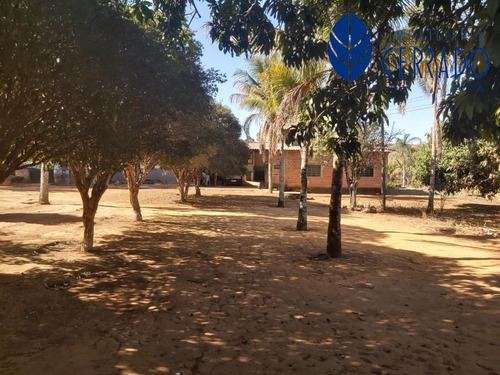 Imagem 8 de 15 de Chácara A 15 Km Do Centro De Anápolis - Ch4232174