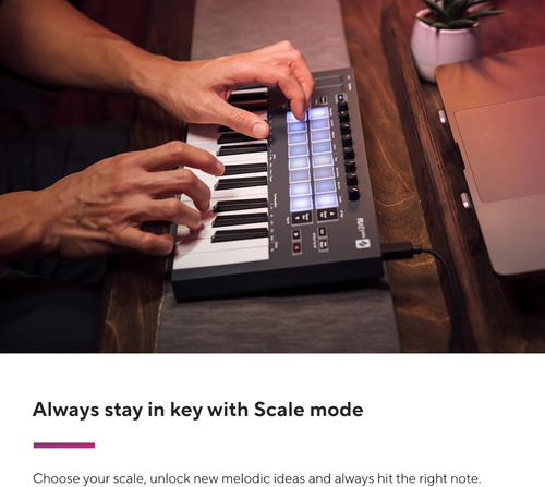 Controlador De Teclado Midi Novation Flkey Mini Usb De 25 Te