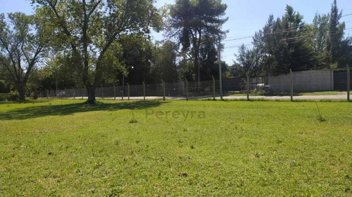 Imagen 5 de 8 de 14 Entre 90 Y 93 - Lote En Venta - Villa Elvira
