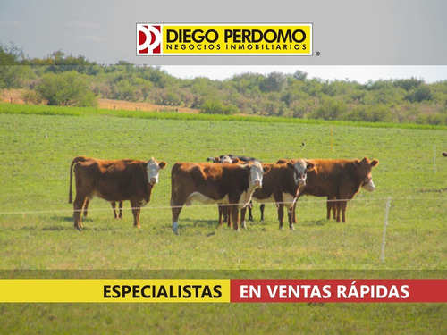Campo De 150 Has En Venta, San José