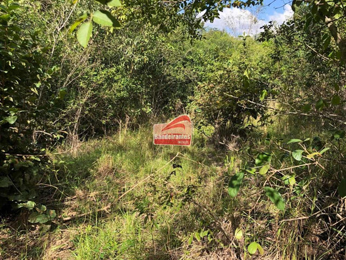 Chácara À Venda, Fazendinhas Amaro - Lagoa Santa/mg - 1393