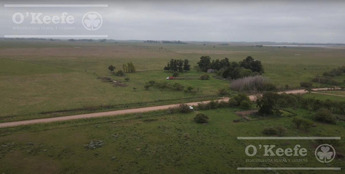 Imagen 5 de 13 de Campo En Venta En Chascomus De 370 Has. Laguna De 240 Has Ideal Pesca Deportiva Y Turismo