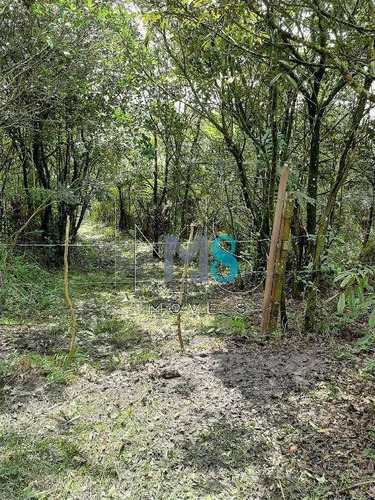 Chácara Localizada No Riacho Grande, São Bernardo Do Campo- Sp - Ch0011