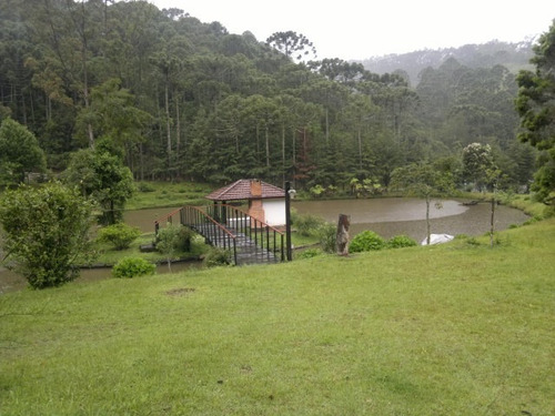 Imagem 3 de 15 de Magnifica Fazendinha 33 Alqueires - St-631