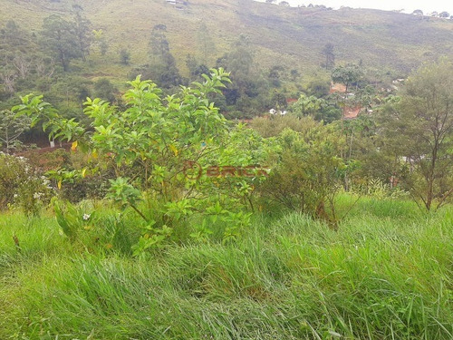 Imagem 4 de 10 de Terreno Com 3610 M² No Vale Dos Cedrinhos. - Te00399 - 69367277