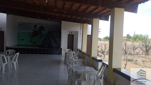 Imagem 10 de 14 de Granja A Venda Em Tangará
