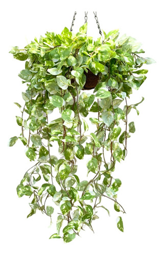 Planta Colgante Jardin Vertical Artificial Potus Pothos 78cm Color Linea4
