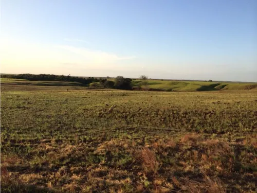 Excelente Finca En Venta, Puerto Lopez Meta