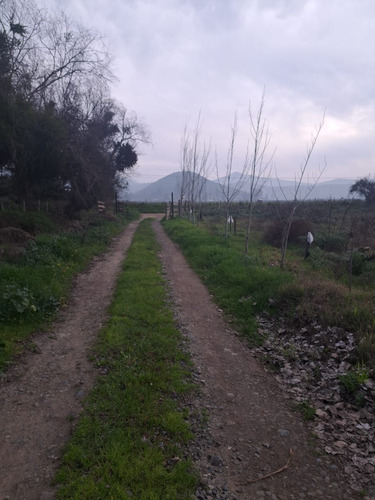 Venta De Parcela Melipilla- Mallarauco