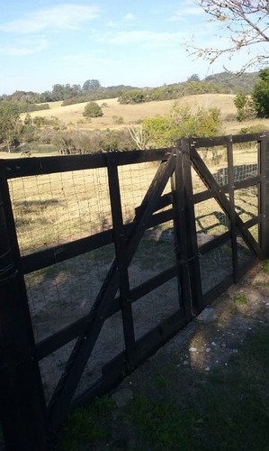 Imagem 19 de 30 de Sítio Com 4 Dormitórios À Venda, 60000 M² Por R$ 375.000 - Viamão - Viamão/rio Grande Do Sul - Si0018