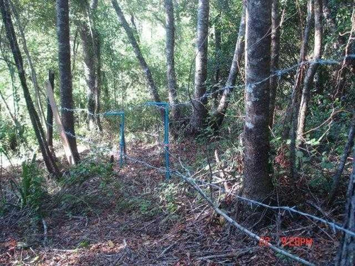 Imagen 8 de 13 de Camino Nonguen S / N , Sector Reserva De Nonguen Concepción