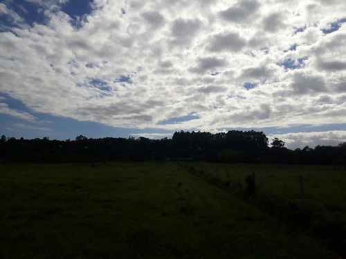 Imagem 13 de 18 de Fazenda À Venda, 63000 M² Por R$ 2.500.000,00 - Campo Bonito - Torres/rs - Fa0002