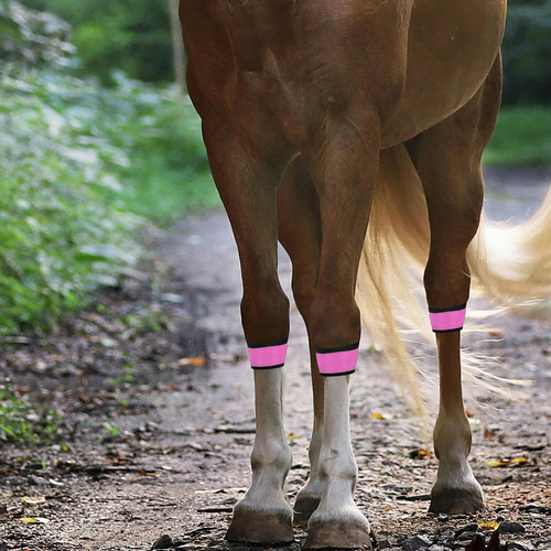 4 Bandas Led Brillantes Para Patas De Caballo, Reflectantes,