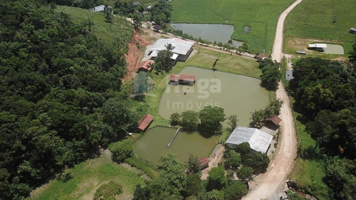 Imagem 2 de 19 de Sítio A Venda Em Brusque/sc - 1754c