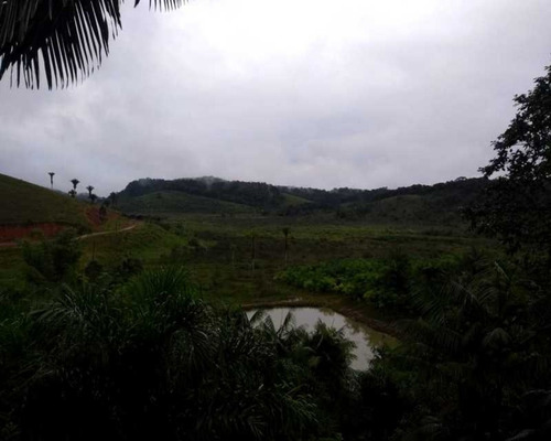 Fazenda - 0132 - 32820420