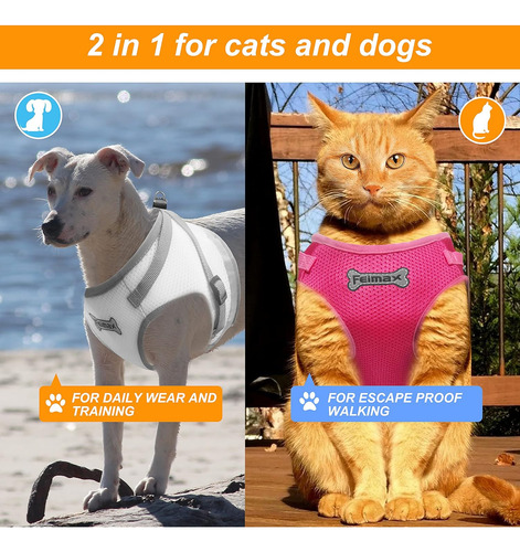 Juego De Arnés Y Correa Para Gatos, Arnés Ajustable De Malla