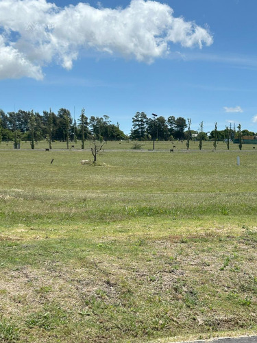 Venta Terreno Cavas De La Tahona