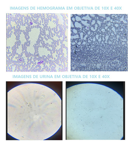 Microscópio Basic Trinocular Acromático 1600x Laboratorio