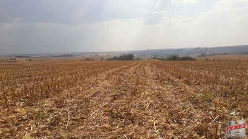 Imagem 26 de 30 de Chácaras_sítios_fazendas Para Venda - 13650.3266