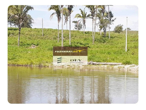 Imagem 5 de 11 de Fazenda Extra ! Região São Miguel Do Araguaia 75 Alqueires ! - 380