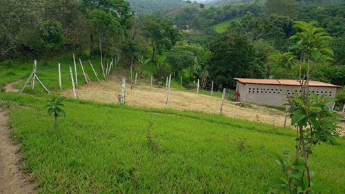 Imagem 3 de 14 de 31-+ Adquira Já Terreno A Venda Em Arujá