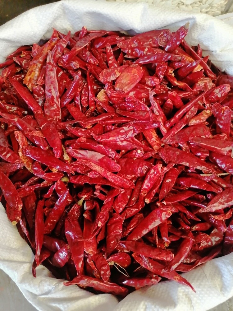 Chile Serrano Seco 30 Kg De Excelente Calidad Y Sabor Envío gratis