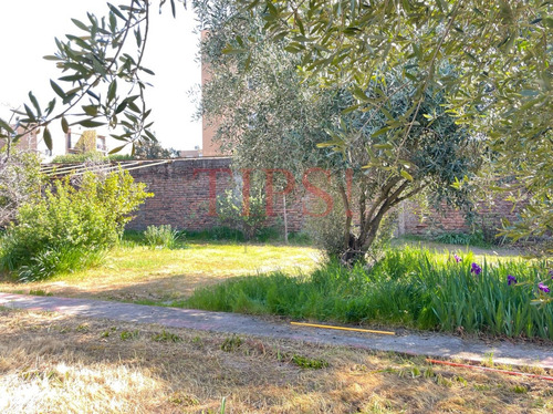 Terreno Comercial, Con Gran Potencial En Venta