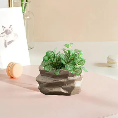 Maceta De Cerámica Para Suculentas, Cactus, Ideal Estilo B