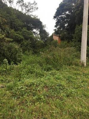 Imagem 5 de 8 de Terreno No Bairro Jardim Coronel 7846