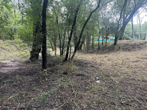 Oportunidad Remato Dos Terrenos En Casa Grande, Inversion