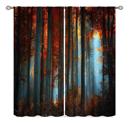 Gy Cortinas De Bosque Rojo, Árbol Místico, Niebla, Bosque, E