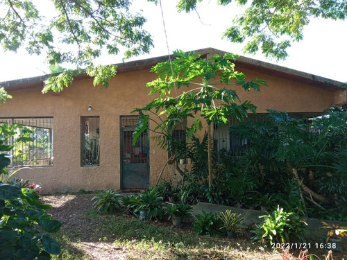 Finca Agropecuaria En Mirimire Estado Falcon