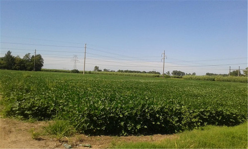 Imagen 3 de 9 de Campo Soldini 7 Hectareas - Ideal Quinta