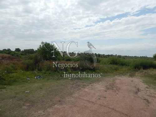 Imagen 6 de 14 de 3 Padrones De Campo Para Inversión!