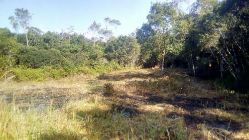 Imagem 22 de 25 de Imóvel No Balneário Gaivota, Em Itanhaém, Com Bom Espaço Para Plantio, Analisa Proposta À Vista Ref: 4442/ac