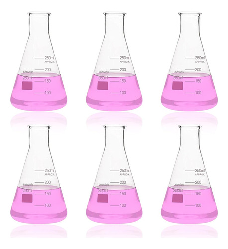 6 Frascos Erlenmeyer Vidrio Borosilicato 250ml Boca Estrecha