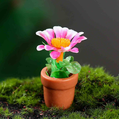 2 X 5 Uds Escala 1:12 Planta Bonsái En Miniatura Pequeño