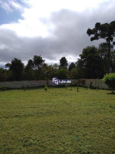 Chácara À Venda, 4450 M² Por R$ 449.500,00 - Rio Pequeno - São José Dos Pinhais/pr - Ch0023