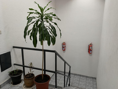 Imagen 4 de 20 de Departamento - Ciudad Evita