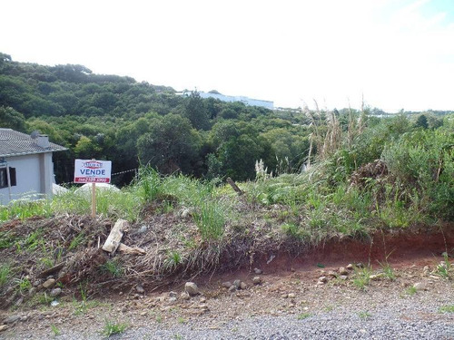 Imagem 3 de 3 de Terreno - Ipanema - Ref: 7559 - V-7559