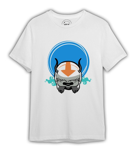 Polera Appa Avatar Leyenda Aang 100% Algodón