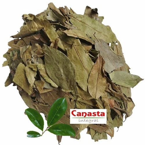 1 Kg Té De Hoja De Guanábana