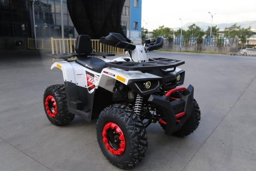 Cuatrimoto Tao Motor Mod Braves 200cc 0 Klm 2021