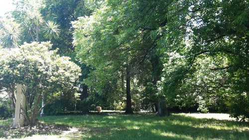 Venta Ezeiza Casaquinta Barrio El Trebol - Lote De 4951 M2 - A Refaccionar