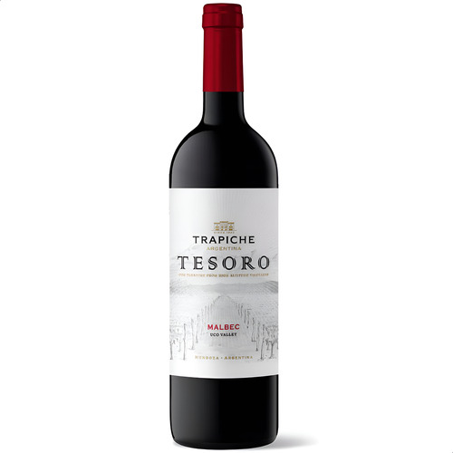 Vino Tinto Trapiche Tesoro Malbec - Caja X3