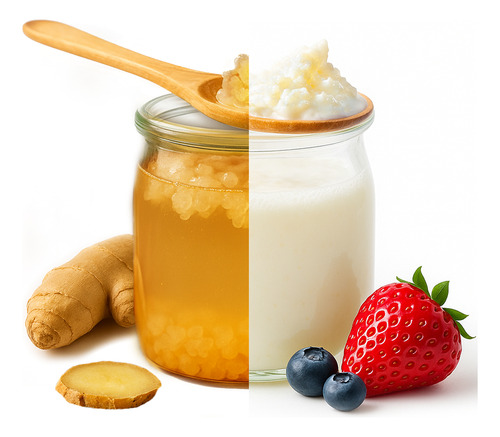 Búlgaros (kéfir) De Agua Y Leche Premium | Probióticos Vivos