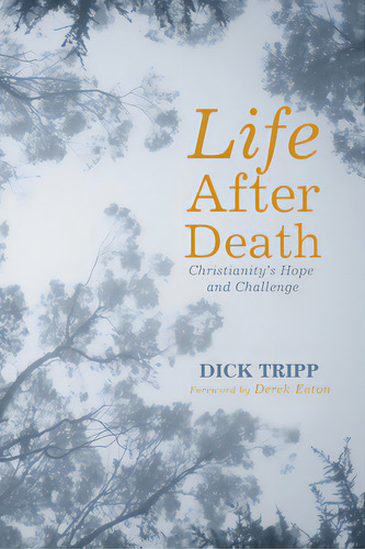 Life After Death, De Tripp, Dick. Editorial Wipf & Stock Publ, Tapa Blanda En Inglés