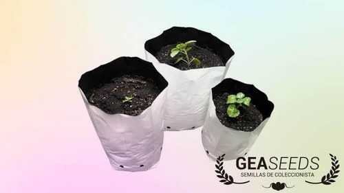 Saco Vaso Para Cultivo Pb 5 Unidades  8l