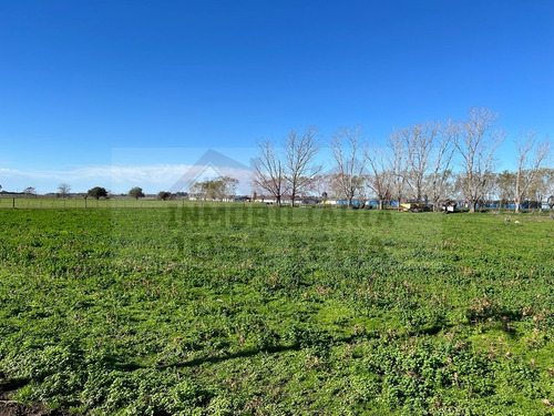Parcela / Quinta / Chacra / Lote De 1 Ha. (10.000 M2) En Venta. Excelente Ubicación De General Belgrano. Zona De Calle 111 Y 178, Sociedad Rural.