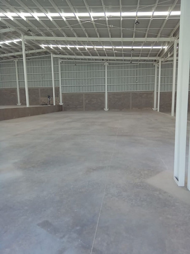 Bodega Junto Piq Con Andén Autonivelable Y Rampa